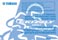 Yamaha Grizzly 550 Owner`s Manual